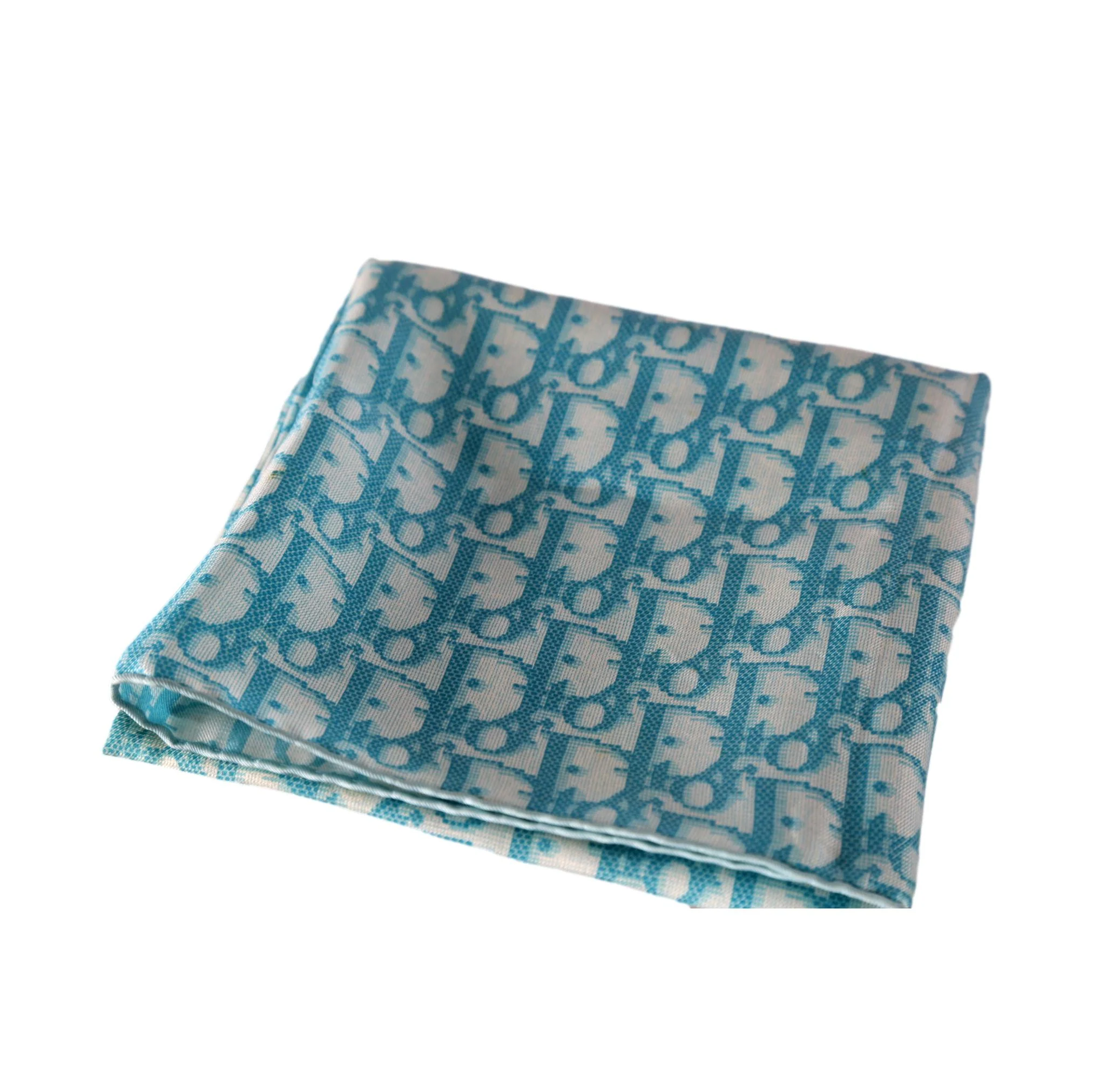 Dior Baby Blue Logo Scarf