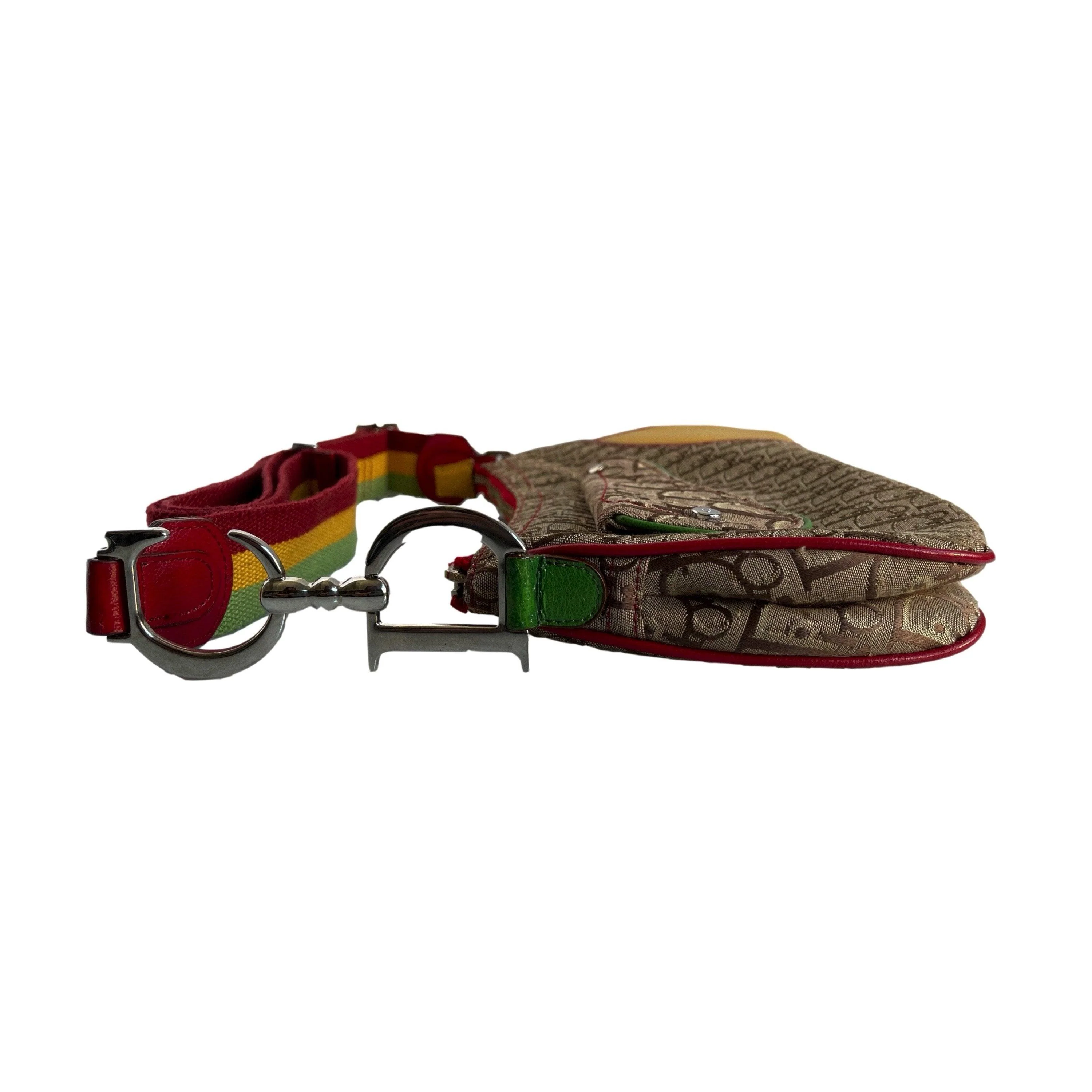 Dior Multicolor Rasta Crossbody Bag - Image 3