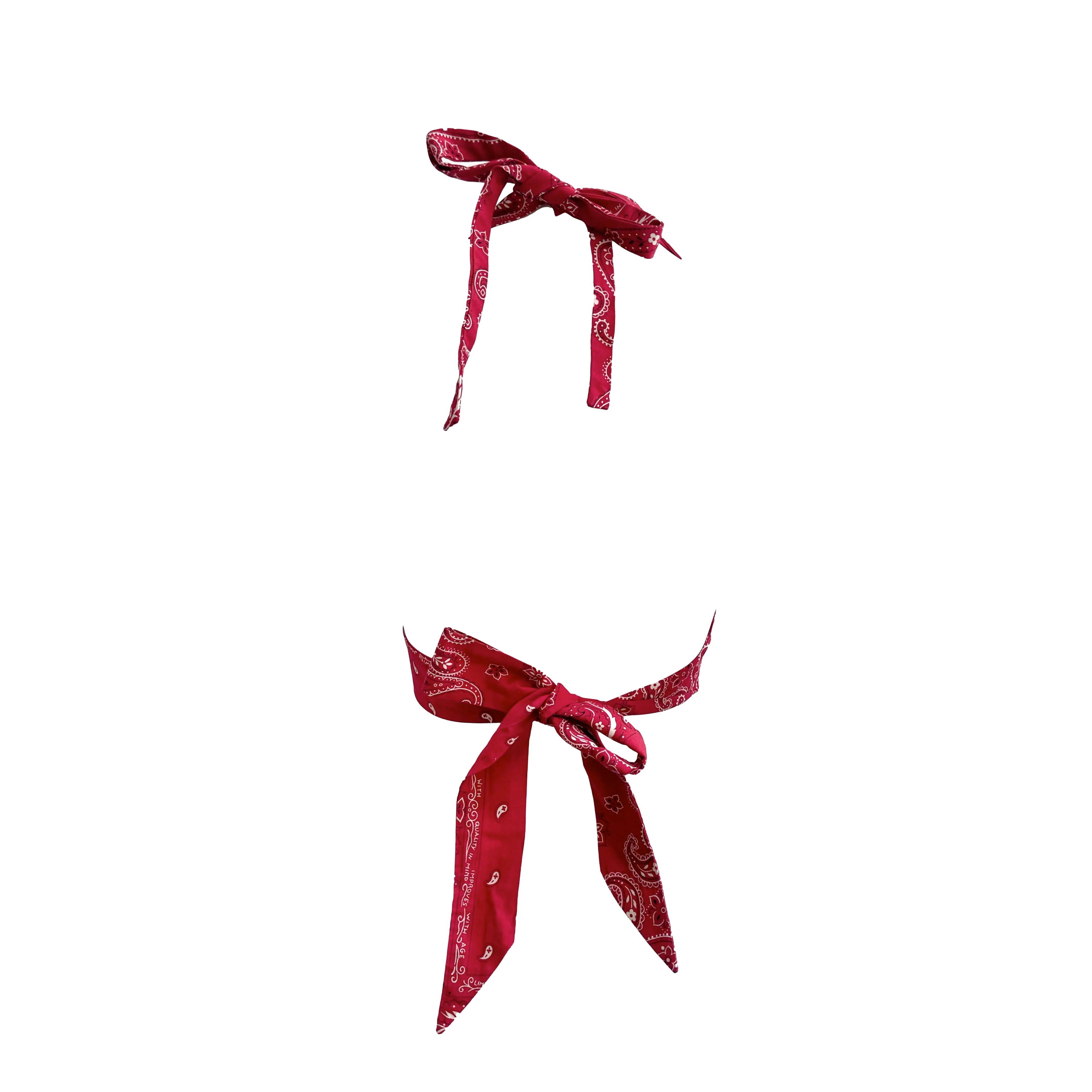 Dolce & Gabbana Bandana Print Crop Halter - Image 2