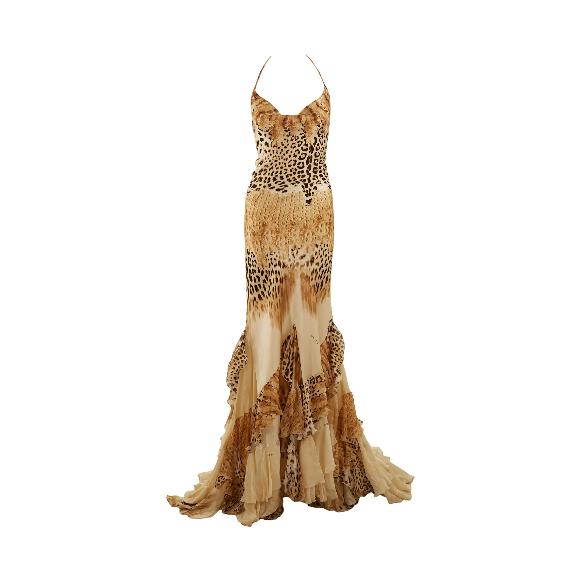 Roberto Cavalli Cheetah Print Gown